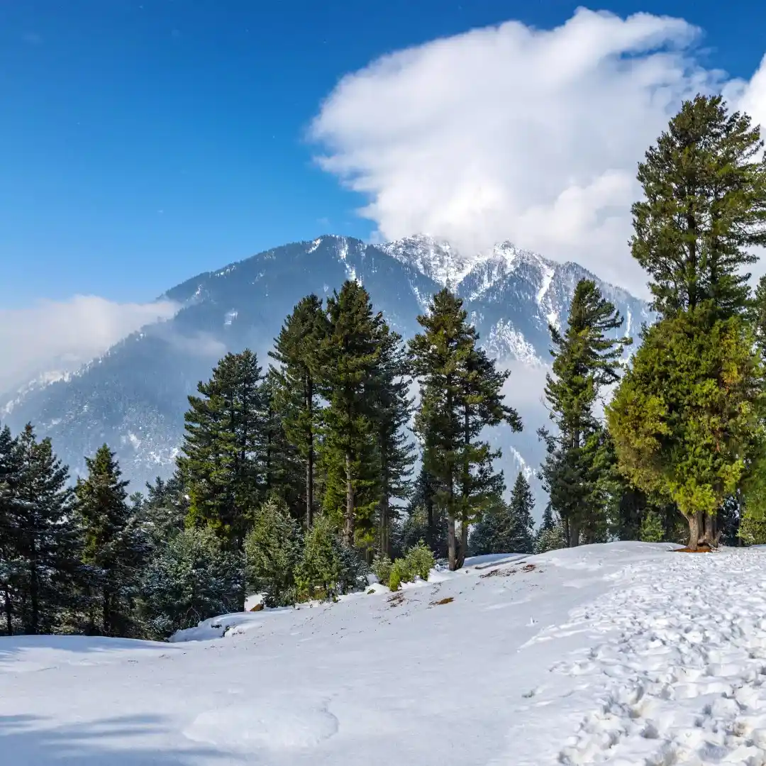 Kashmir